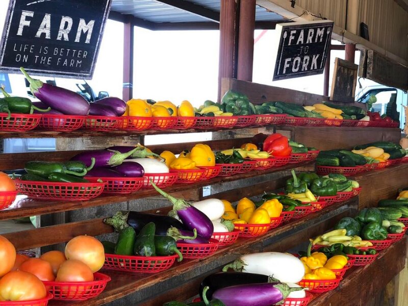 Lightsey Farms 